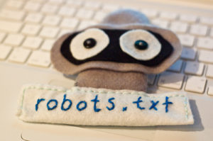 Robots.txt для блога WordPress